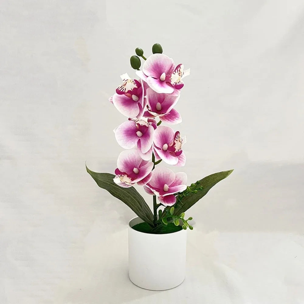Orchidée artificielle rose pot blanc fleurs blanches intérieur décoration moderne salon événement