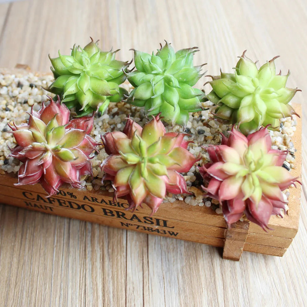 décoration intérieure extérieure plante artificielle succulente vert rouge caisse bois rustique naturelle élégante