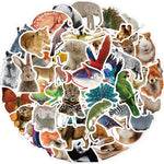 sticker animal sauvage jungle réaliste adhésif divers couleur ours lion éléphant scrapbooking diy coque