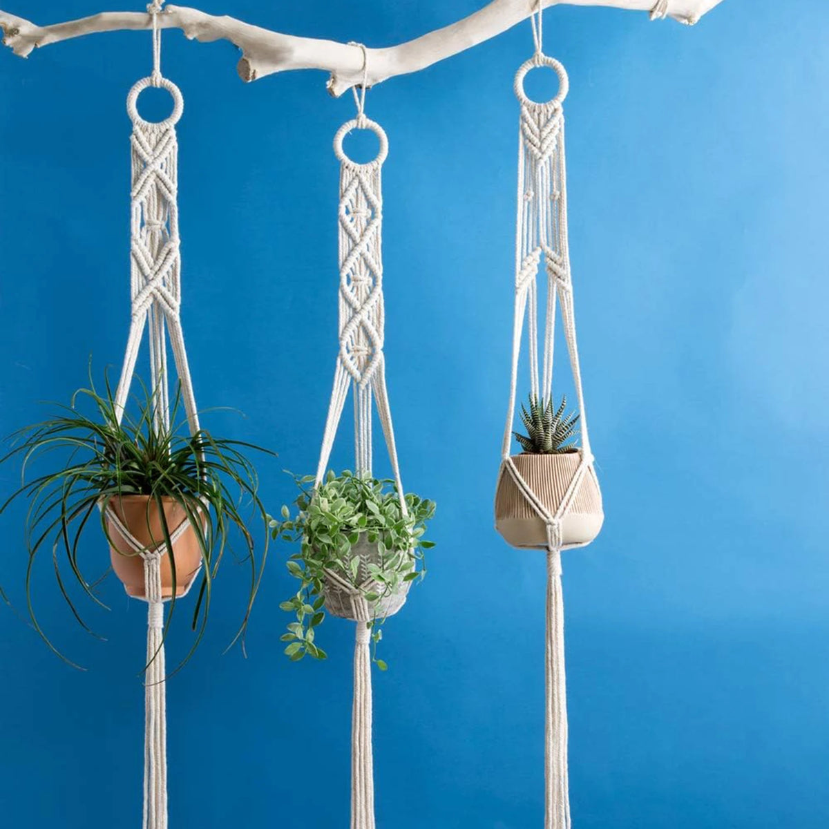 suspensions plantes tressage macramé motifs géométriques bohèmes pots suspendus intérieur extérieur