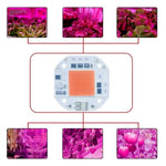 Chip LED COB 50W 70W 100W blanc orange full spectrum connecteurs solderless modernes