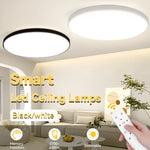 lampe led moderne télécommande fonction mémoire 2700 6500k noir blanc