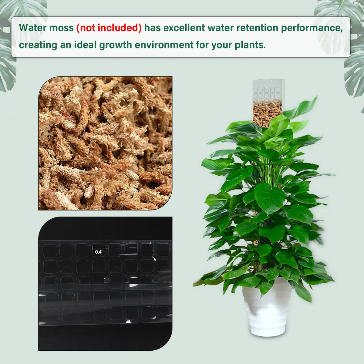 poteau mousse plastique transparent moderne 24 pouces adhésif support plante grimpanteintérieur