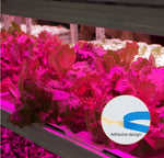 ruban led violet autoadhésif plantation moderne 5v 1m 2m 3m 4m 5m 7m 8m