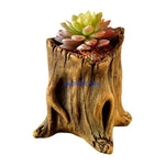 jardinière cache pot tronc arbre marron rustique plante succulente texture bois naturelle balcon jardin
