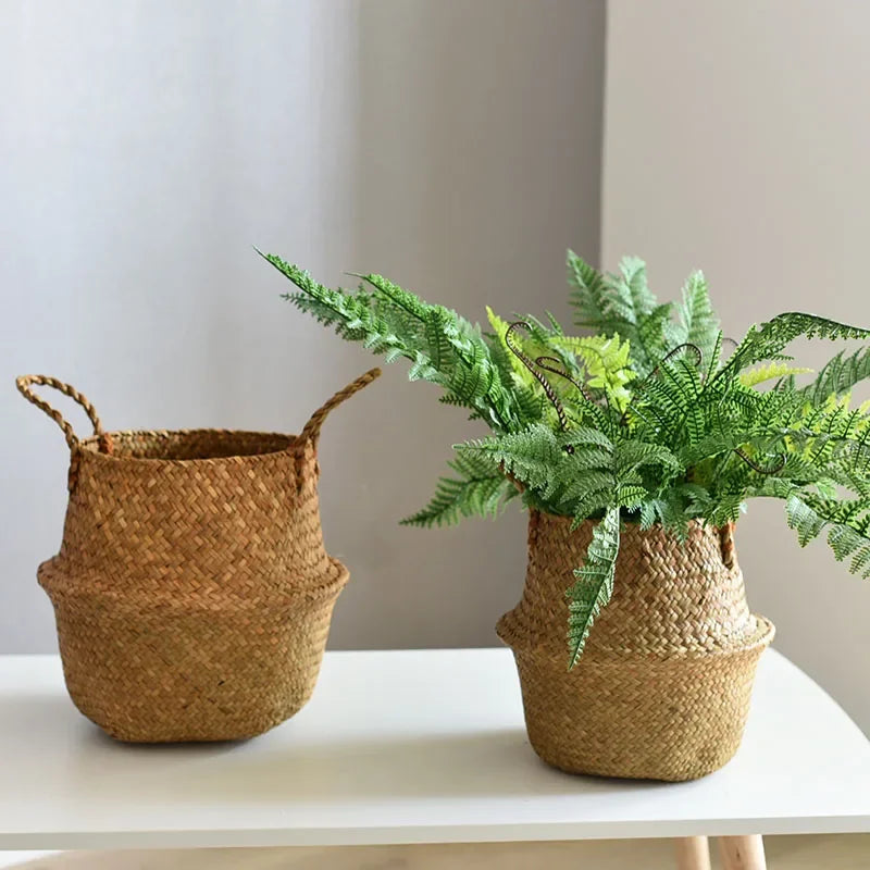 Panier en osier bleu utilisé comme pot de fleurs dans un salon