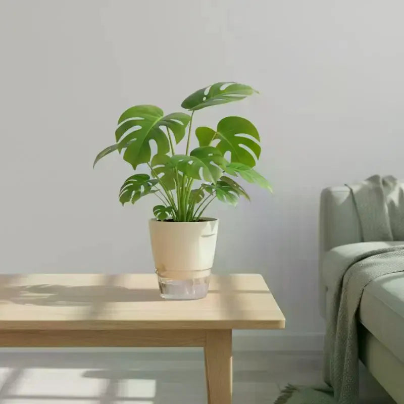 pots plantes auto arrosants intérieur plastique blanc beige gris transparent