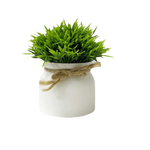 plantes artificielles vertes feuilles fines pot blanc extérieur moderne décoration anniversaire ornement accroché