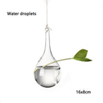 vases suspendus verre transparent motifs oiseaux coeurs plantes vertes minimaliste terrarium hydroponie