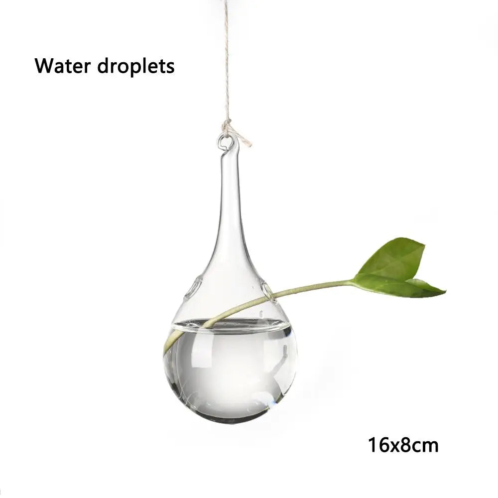 vases suspendus verre transparent motifs oiseaux coeurs plantes vertes minimaliste terrarium hydroponie