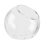 Terrarium rond en verre blanc avec plantes succulentes