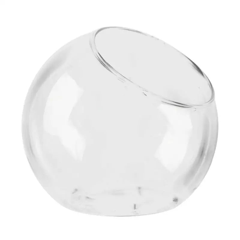 Terrarium rond en verre blanc avec plantes succulentes