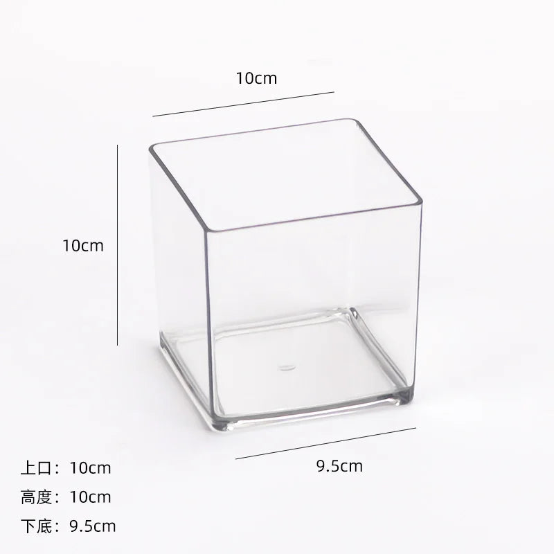 cube transparent moderne vase hydroponie plante verte sans motif minimaliste récipient acrylique