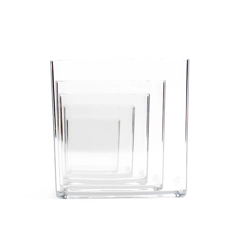 cube transparent moderne vase hydroponie plante verte sans motif minimaliste récipient acrylique