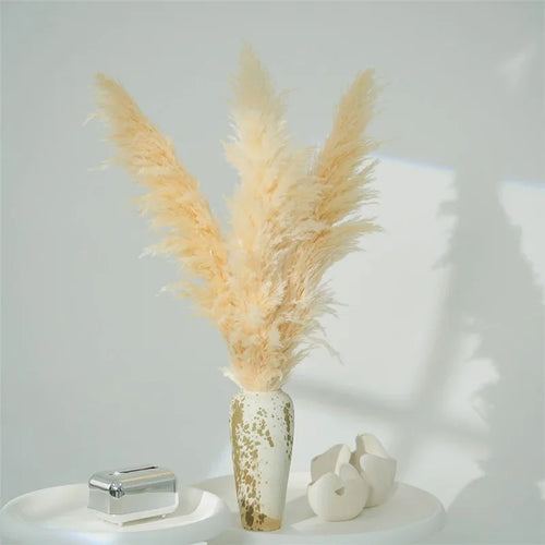 plume naturelle multicolore décoratif mariage fête intérieur décoration maison bohème naturel