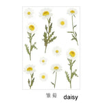 sticker decoratif fleur seche vintage romantique violet rose jaune beige vert adhesif individuel