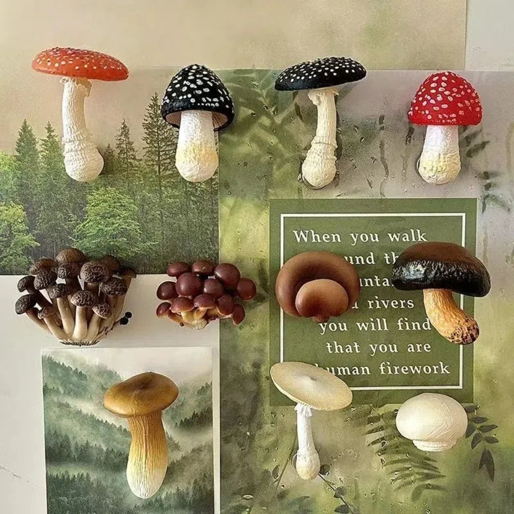 aimants champignons décoratifs réalistes résine opaques pointillés noirs blancs rouges chez soi