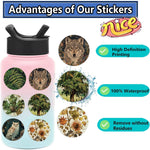 autocollants animaux forêt multicolores waterproof adhésifs unique illustration renard ours oiseaux 50pcs étanches portables