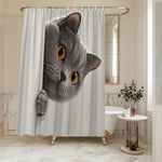rideau douche chaton gris blanc motif humoristique moderne tringle texture polyester blanc fond