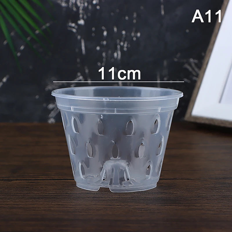 pots semis transparents perforés pratique plateau fleur verte plastique moderne