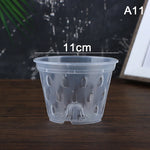pots semis transparents perforés pratique plateau fleur verte plastique moderne