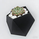 décoration murale moderne cache plantes hexagonal noir fixations plantes