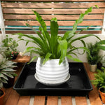 plateau carré noir moderne plante saucer durable intérieur extérieur trémie