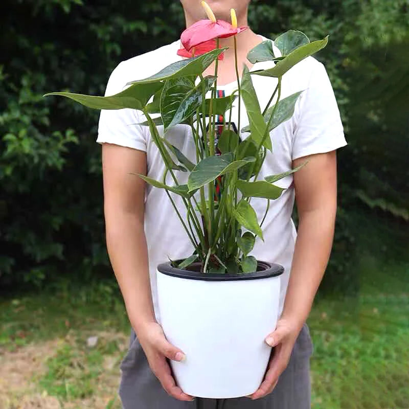 pots fleurs auto arrosage hydroponie moderne blanc noir coton plastique pp