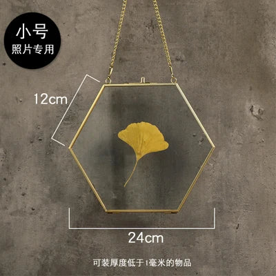 cadre photo moderne or transparent hexagonal chaîne collection monnaies photos spécimens