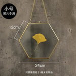 cadre photo moderne or transparent hexagonal chaîne collection monnaies photos spécimens