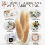 plumes séchées naturelles queue lapin décoration maison fêtes anniversaires mariage bohème rustic beige clair