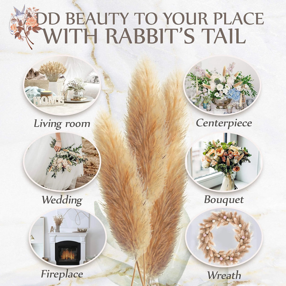 plumes séchées naturelles queue lapin décoration maison fêtes anniversaires mariage bohème rustic beige clair