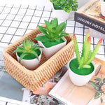 petite plante artificielle aloes pot blanc décoration moderne fleurs fausses vertes