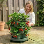 jardinière verticale empilable moderne pots intégrés fraises herbes aromatiques fleurs gris orange vert