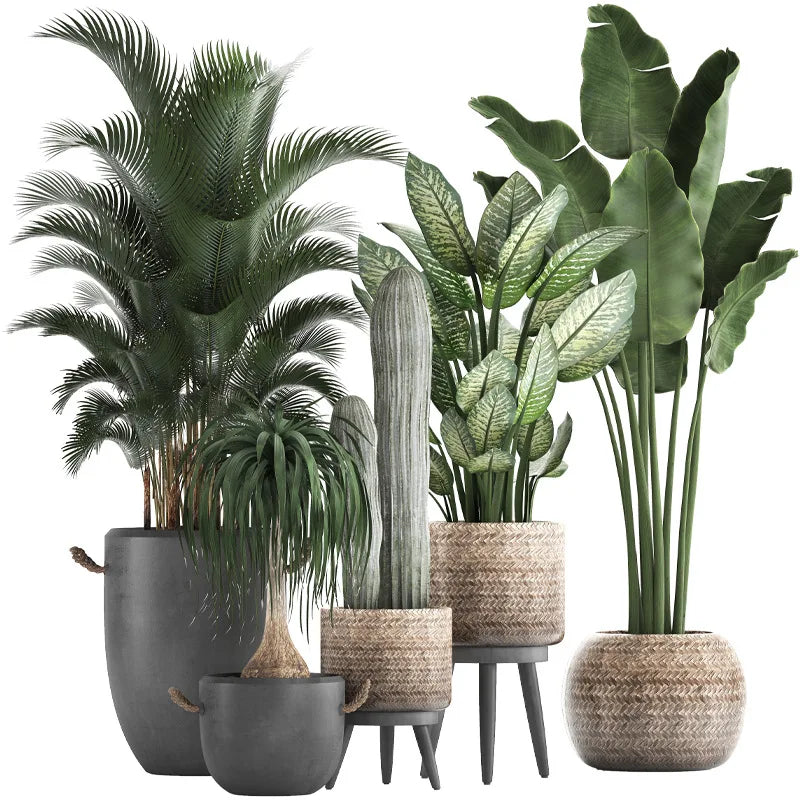 sticker mural plante verte pot naturel minimaliste deco chambre salon pieces