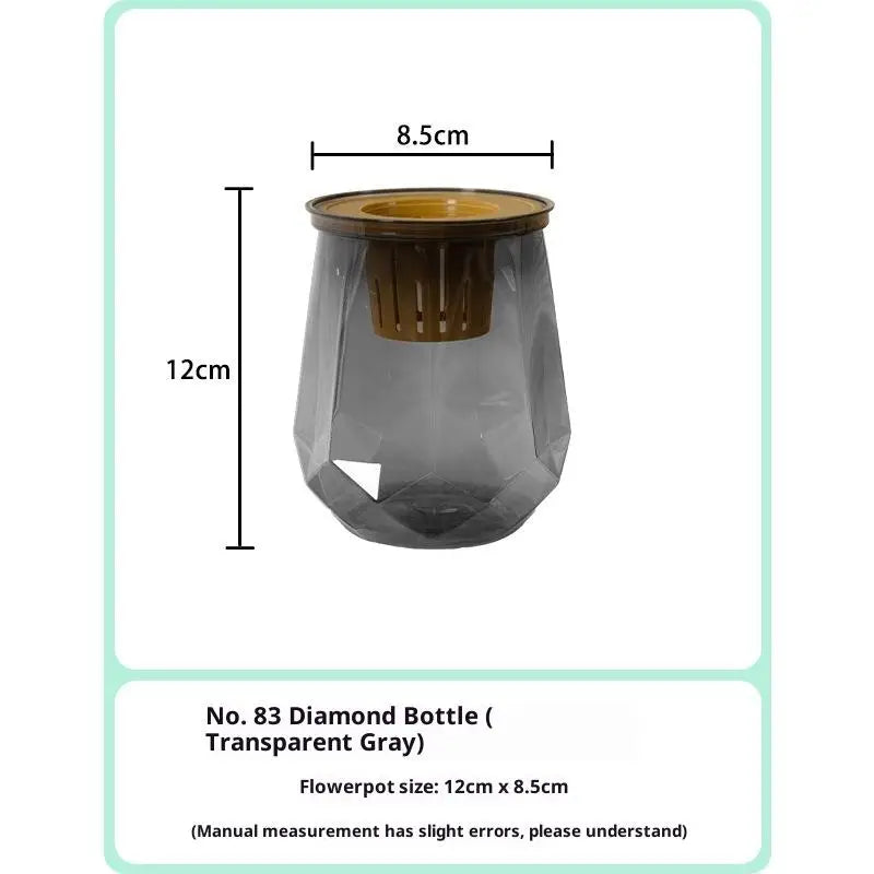 vases verre transparents modernes plante pachira aquatica support bois feuilles vertes deco minimalisteintérieur