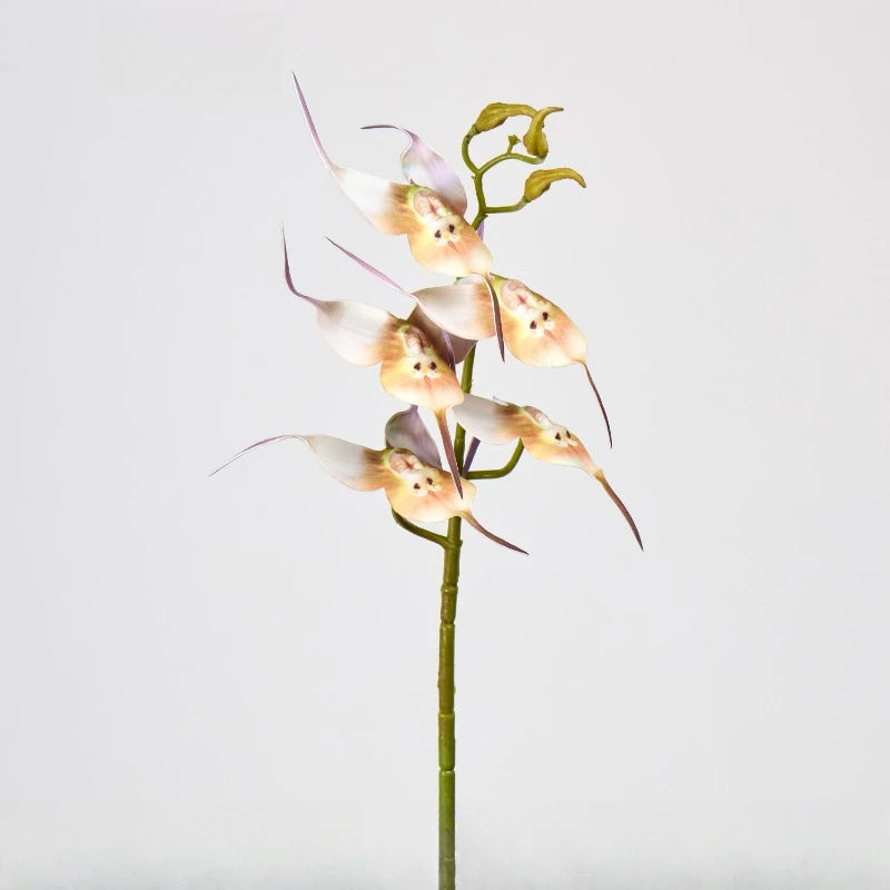 bouquet artificiel blanc orchidée moderne décoration maison anniversaire mariageintérieur