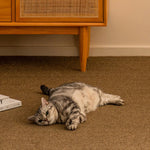 tapis antidérapant protection chat marron clair doux moderne adhésif 40 60cm 50 80cm 100