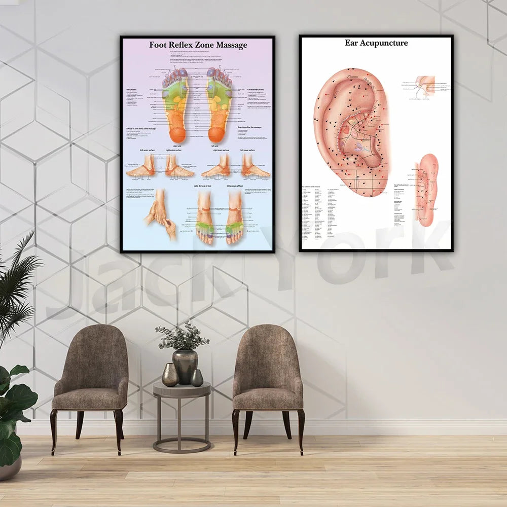 Des affiches d'anatomie qui illustrent les zones de réflexologie plantaire et l'acupuncture auriculaire, dans un décor de salon décoré avec des meubles et des plantes.