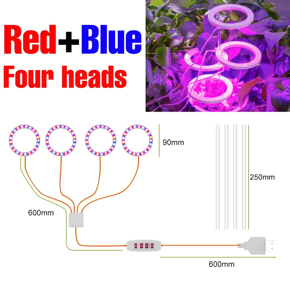 lampe led croissance plante circulaire diodes blanc moderne anneau flexible réglable temps