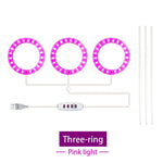 lumière croissance led usb rechargeable rose bleu blanc moderne minimaliste