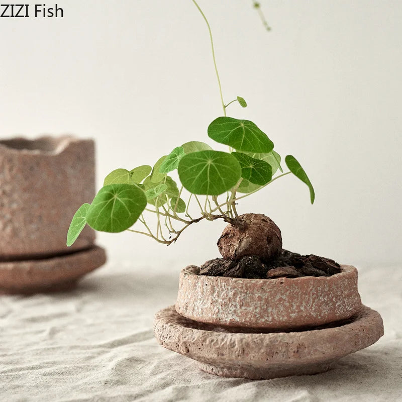 pots fleurs céramique rustique soucoupe plantes vertes jardin minimaliste