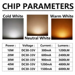 Kit LED 10W 20W 30W 50W Cold White Neutral Warm IP65 moderne dorés