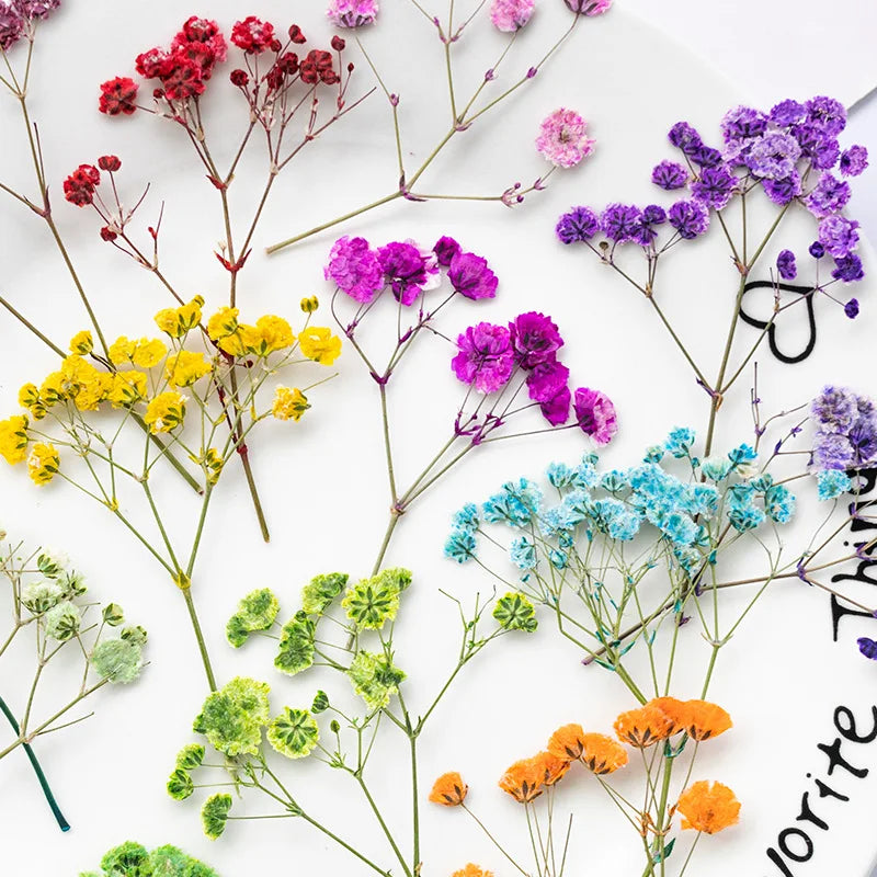 bouquet fleurs séchées naturelles variées bleu vert violet rouge jaunes ornement intérieur décoration artisanale