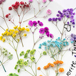 bouquet fleurs séchées naturelles variées bleu vert violet rouge jaunes ornement intérieur décoration artisanale