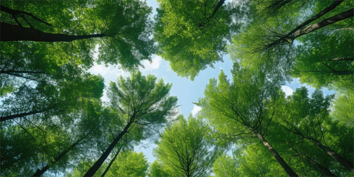 cache lumiere moderne nuages feuilles étoiles coraux adhésif bleu blanc vert noir