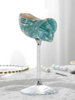 coquillages naturels supports pieds blanc rose vert décoration moderne minimaliste ambiance unique présentation