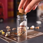 bouteilles verre transparentes bouchon liège charms huiles essentielles coquillages