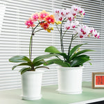pots fleurs modernes blancs double couche transparents grille dimensions 12cm 16cm