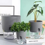 Pot auto arrosant hydroponique moderne transparent double couche coton succulenteintérieur déco jardin